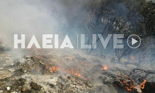 Φωτιά Ηλεία: Πυρκαγιά σε χαμηλή βλάστηση στο Καπελέτο