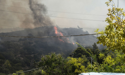 Φωτιά Αχαΐα: Αγνοείται κτηνοτρόφος - Πήγε να σώσει τα αιγοπρόβατά του από τις φλόγες