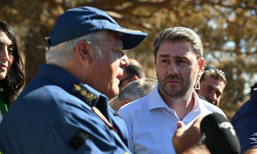 Φωτιές: Μήνυμα συμπαράστασης Ανδρουλάκη στους πυρόπληκτους και τους πυροσβέστες