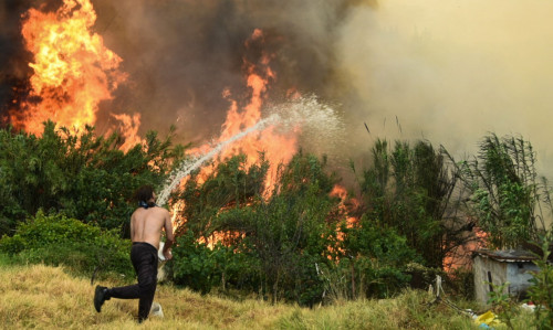 Το ξέσπασμα εθελόντριας για τη φωτιά στην Πάτρα: «Ντροπή σας ξεφτίλες του πληκτρολογίου»