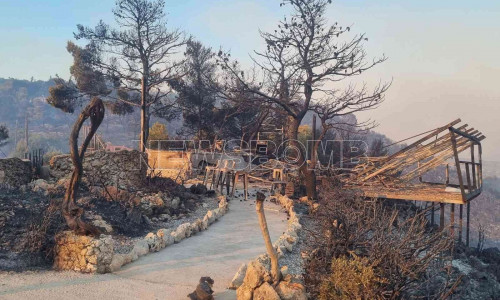 Καταστράφηκε ταβέρνα στον Αγαλά Ζακύνθου – «Δεν θα ξανανοίξει», λέει η ιδιοκτήτρια στο Newsbomb
