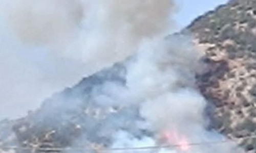 Φωτιά τώρα στην Ερμιόνη Αργολίδας