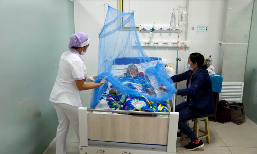 Ιός chikungunya: Συναγερμός και στην Ευρώπη μετά τα χιλιάδες κρούσματα - Ταξιδιωτικές συστάσεις