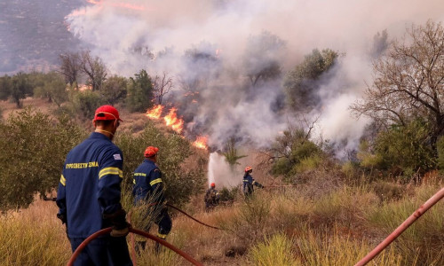 Φωτιά τώρα στο Λιβάρτζι Αχαΐας - Μήνυμα από το 112 για ετοιμότητα