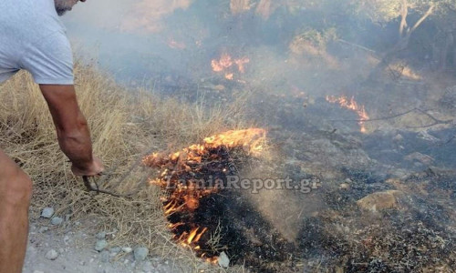 Φθιώτιδα: Φωτιά στην περιοχή Γλύφα - Στη μάχη και οι κάτοικοι με πυροσβεστήρες και κλαδιά