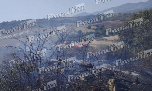 Φωτιά στην Πρέβεζα στην περιοχή Σινώπη - Επιχείρησαν εναέρια μέσα