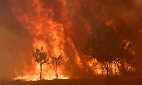 «Μαύρο» ρεκόρ καταστροφής από τις πυρκαγιές στην Ευρώπη το 2025 - Κάηκαν 10.000.000 στρέμματα
