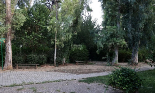 Ο Δήμος Αθηναίων κατηγορεί τους... προηγούμενους για τα νεκρά ζώα στο Άλσος Χωροφυλακής