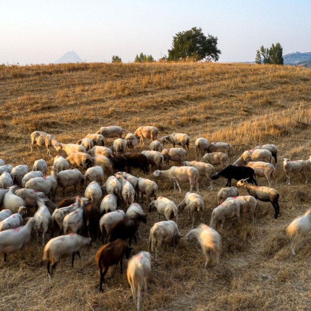 Λασίθι: Προφυλακίστηκε ο 22χρονος - Εγγυήσεις έως 3.000 ευρώ για τους άλλους τέσσερις
