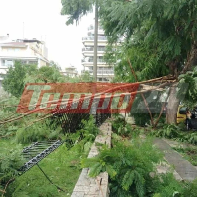 Κακοκαιρία: Δέντρο ξεριζώθηκε και έπεσε πάνω σε Ι.Χ στην Πάτρα