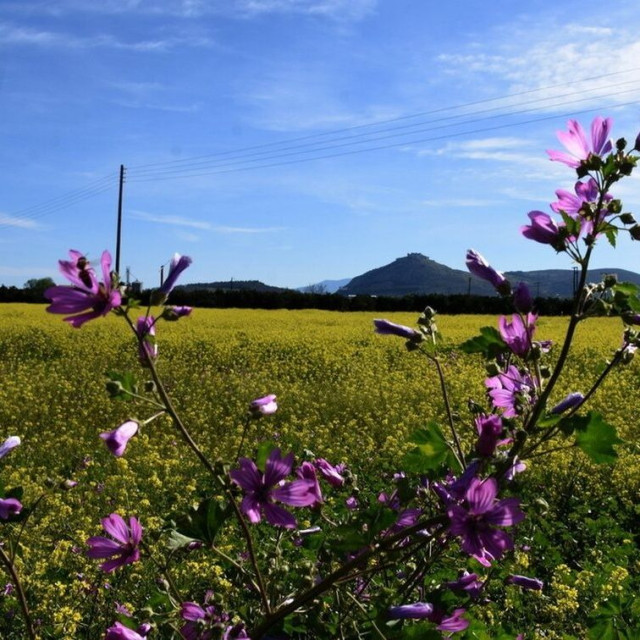 Ανοιξιάτικος ο καιρός μέχρι την Τρίτη – Πότε θα έρθει η «χειμωνιάτικη κατεβασιά»