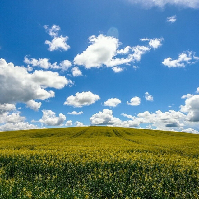 Γιατί η άνοιξη φέτος ξεκινάει στις 20 Μαρτίου