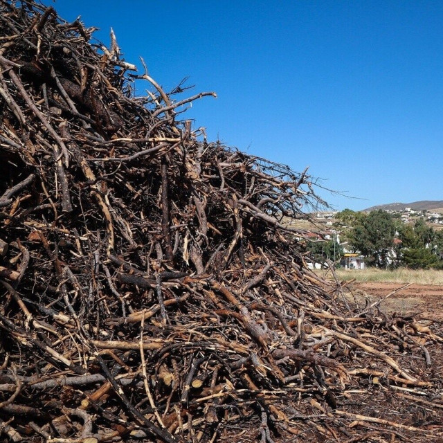 Ακαθάριστα οικόπεδα: Η ώρα του υποχρεωτικού καθαρισμού - Οι προθεσμίες και τα πρόστιμα που... καίνε