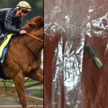 Οργή στην Τουρκία: Σκότωσαν άλογο κούρσας και το σέρβιραν σε συσσίτιο του δήμου