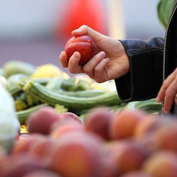 Τα «σιωπηλά» βακτήρια που μπορούν να χαλάσουν το φαγητό χωρίς να αφήσουν ίχνη