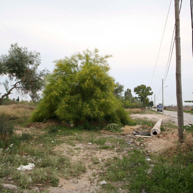 Ακαθάριστα οικόπεδα: Αντίστροφη μέτρηση για τις δηλώσεις - Τσουχτερά τα πρόστιμα για τους αμελείς