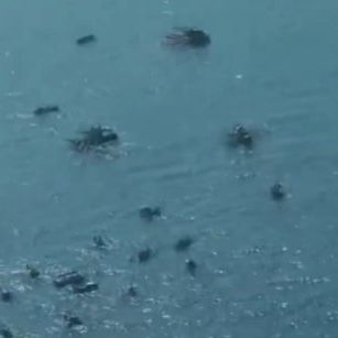 Φιλιππίνες: Ναυτικό επεισόδιο - Κινεζικά στρατιωτικά σκάφη παρενόχλησαν φιλιππινεζικά αλιευτικά