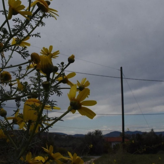 Με σκαμπανεβάσματα ο καιρός – Σε ποιες περιοχές θα βρέξει την 25η Μαρτίου