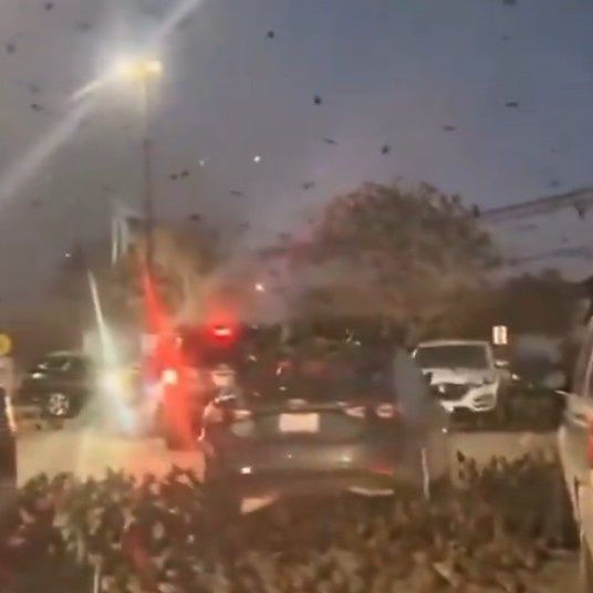 Απόκοσμο σκηνικό στο Τελ Αβίβ: «Κακός Οιωνός» τα χιλιάδες κοράκια στον ουρανό, χαμός στο διαδίκτυο