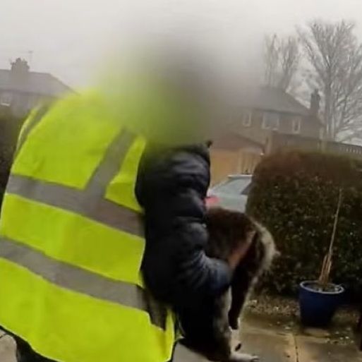 Βρετανία: Πήγε να παραδώσει δέμα και έκλεψε τη γάτα του σπιτιού Βίντεο
