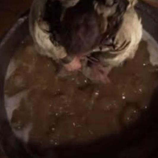 Η χειρότερη εκτέλεση στην ιστορία - Θάνατος δια βρασμού για τον σεφ που δηλητηρίασε το δείπνο