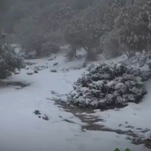 Κακοκαιρία «Erminio»: Χιόνισε σε Αλγερία και Τυνησία