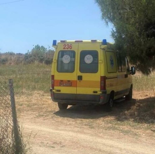 Μεσσηνία: Βοσκός τραυματίστηκε στο πόδι από σκάγια κυνηγετικής καραμπίνας