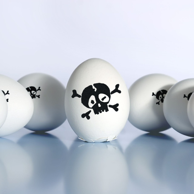 Γρίπη των πτηνών στην Ευρώπη: Τι ποσοστό θνησιμότητας έχει ο ιός H9N2