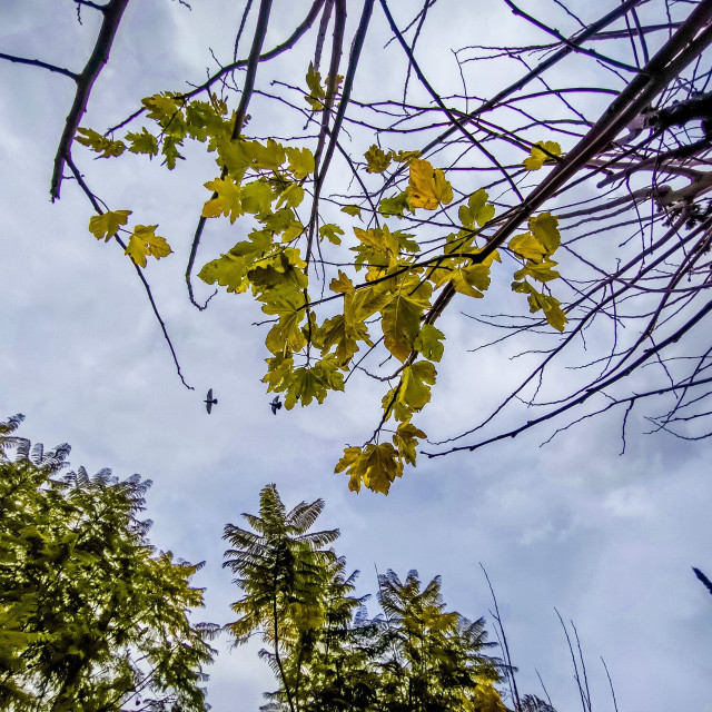 Ο καιρός το Σαββατοκύριακο: Άστατος με βροχές, καταιγίδες και άνοδο της θερμοκρασίας