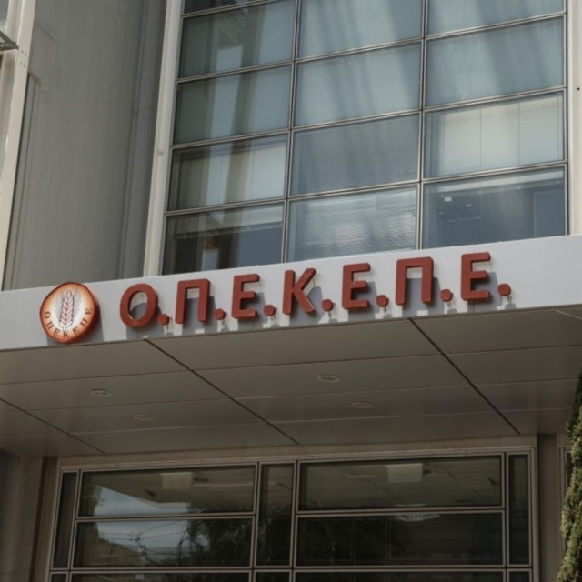 ΟΠΕΚΕΠΕ: Νέοι διάλογοι-σοκ - Τα ρουσφέτια για τα βόδια και οι «χεράτες» συναλλαγές