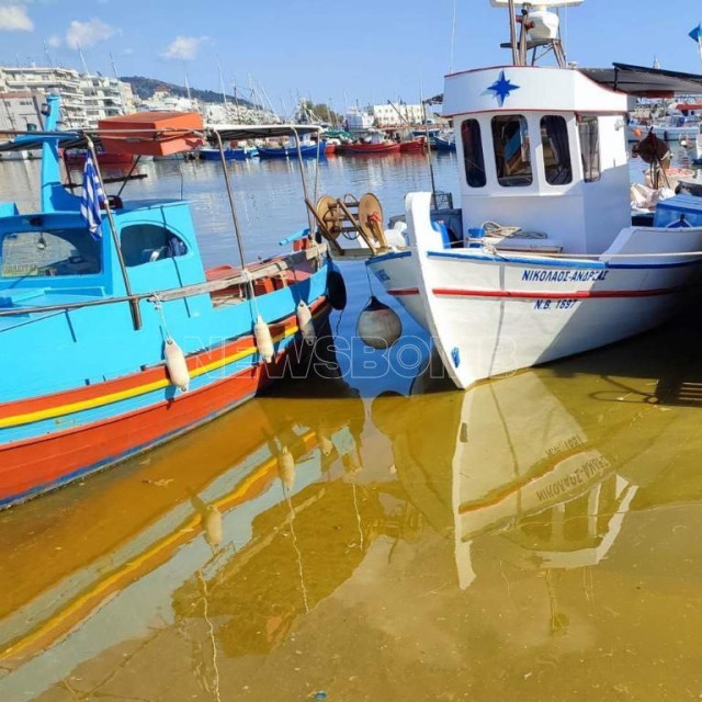 Βόλος: Κιτρινωπή βλέννα στο λιμάνι της πόλης – Οργισμένοι για τη ρύπανση οι κάτοικοι