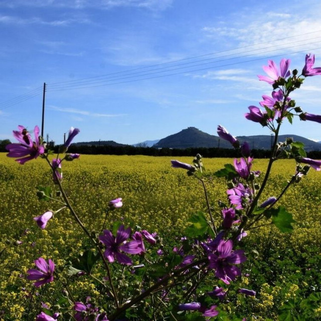 Με λιακάδα η Μεγάλη Τρίτη – Αγωνία για τον καιρό το βράδυ της Ανάστασης και του Πάσχα