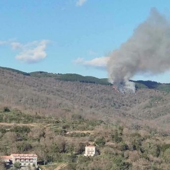 Λακωνία: Φωτιά σε δασική έκταση στις Καρυές