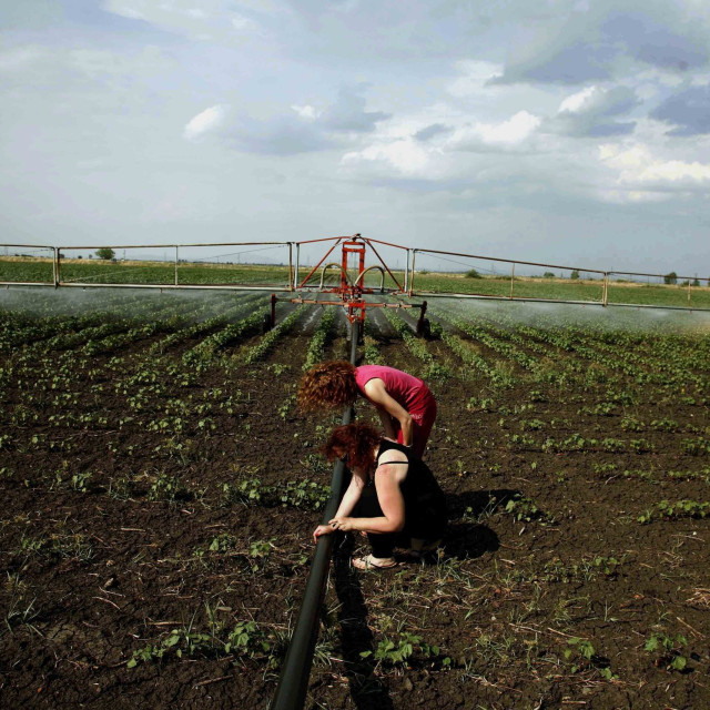 ΕΛΓΑ: Αποζημιώσεις ύψους 73 εκατ. ευρώ για ζημιές του 2025