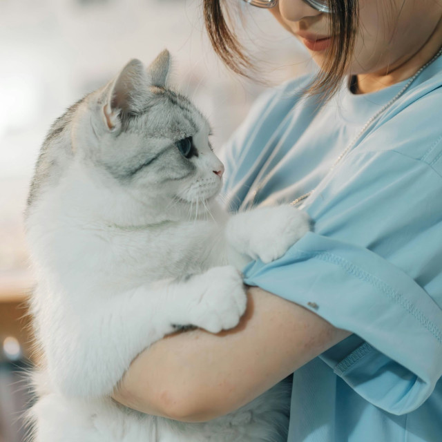 Ιταλία: Γίνεται η πρώτη χώρα που δίνει άδεια με αποδοχές για τη φροντίδα άρρωστων κατοικιδίων