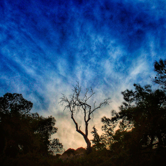 Καιρός: Στους 26 βαθμούς Kελσίου η μέγιστη θερμοκρασία – Πού σημειώθηκε