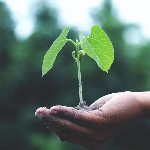 Οι επιπτώσεις της κλιματικής αλλαγής επηρεάζουν και τους απογόνους