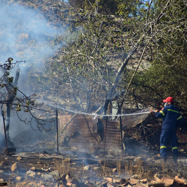 Σέρρες: Στις φλόγες στάνη - Απανθρακώθηκαν 10 ζώα