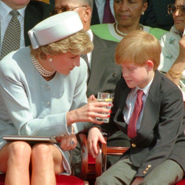 Αγωγή στον πρίγκιπα Χάρι από τον φιλανθρωπικό οργανισμό που ίδρυσε για τη μητέρα του Νταϊάνα