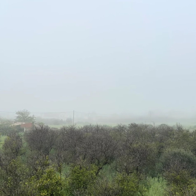 Σπάρτη: Πυκνή ομίχλη κάλυψε τον Ταΰγετο - Περιορισμένη η ορατότητα