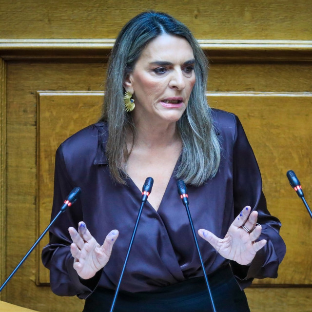 Πέρκα: Ο κ. Μητσοτάκης μπέρδεψε το κράτος πρόνοιας με το κράτος δικαίου