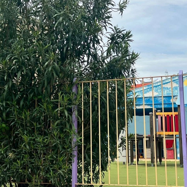 Πικροδάφνη και άλλα τοξικά φυτά: Πόσο επικίνδυνα είναι τελικά σε σχολεία και δημόσιους χώρους