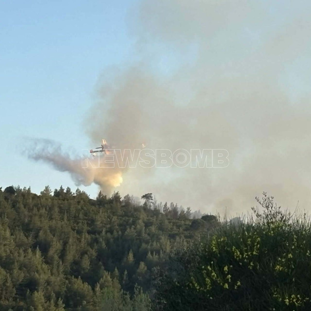 Σκιάθος: Φωτιά σε δασική έκταση