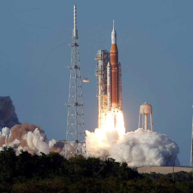 Ένα δέντρο μεγαλώνει στο Τέξας χάρη σε έναν σπόρο που ταξίδεψε πέρα από τη Σελήνη