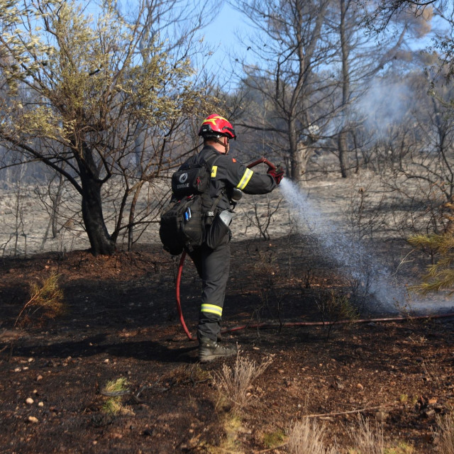 Φωτιά: 52 δασικές πυρκαγιές μέσα στο Σαββατοκύριακο – Πού οφείλονται οι περισσότερες