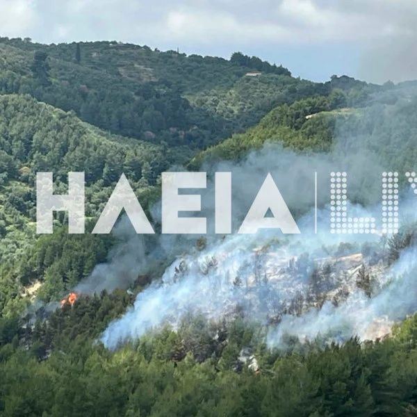 Καλύτερη η εικόνα της φωτιάς στο Λέπρεο Ηλείας - Επί τόπου 52 Πυροσβέστες και αεροσκάφος