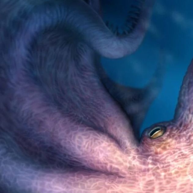 Υπήρξε το Κράκεν: Τι αποκαλύπτουν επιστήμονες για χταπόδι 19 μέτρων που έζησε 100 εκατ. χρόνια πριν