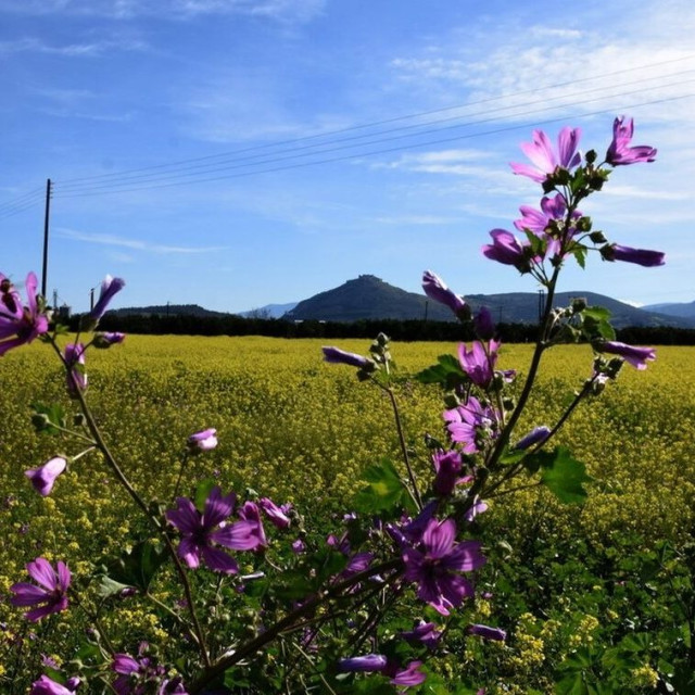 Καταιγίδες στην Κρήτη, ανοιξιάτικος καιρός στην υπόλοιπη χώρα – Η πρόγνωση για το Σαββατοκύριακο