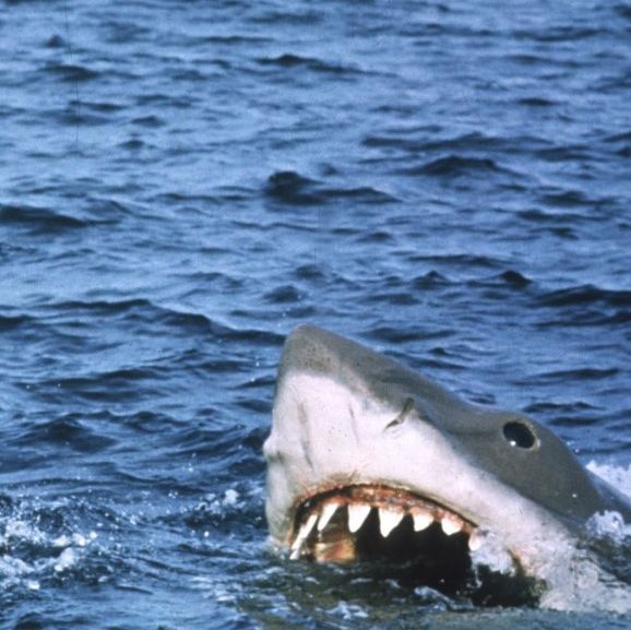 Χόλιγουντ: Γιατί οι ταινίες με πρωταγωνιστές επιθετικούς καρχαρίες «σπάνε» ταμεία