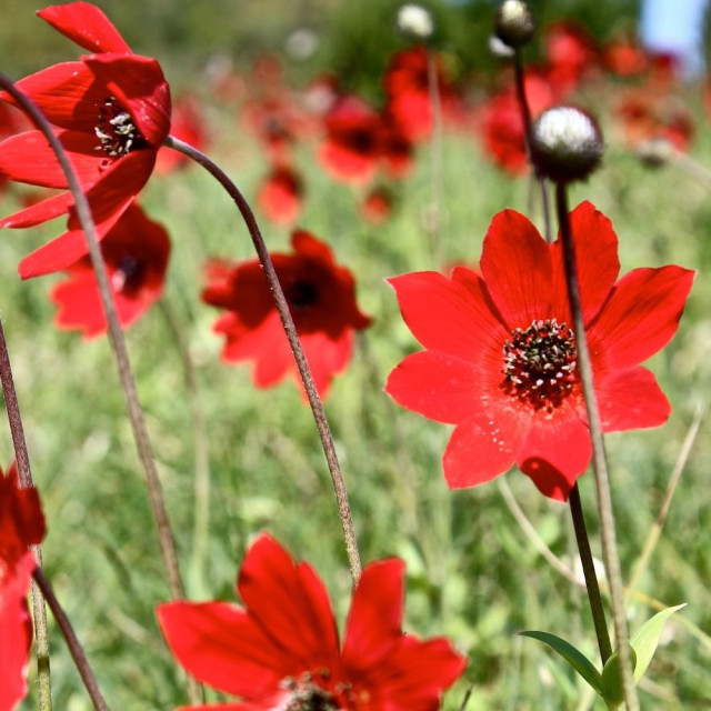 Καιρός: Πώς θα κάνουμε Πρωτομαγιά - Η πρόγνωση Αρναούτογλου